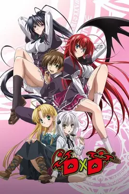 Высшая школа DxD 