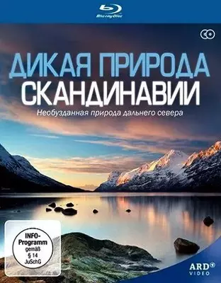 Дикая природа Скандинавии 